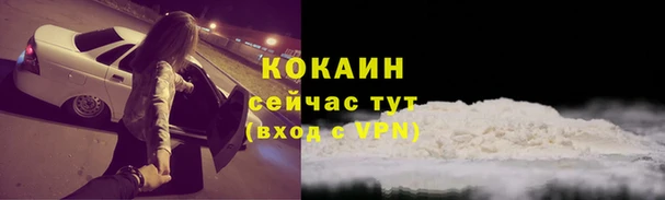 стаф Беломорск