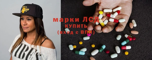 стаф Беломорск